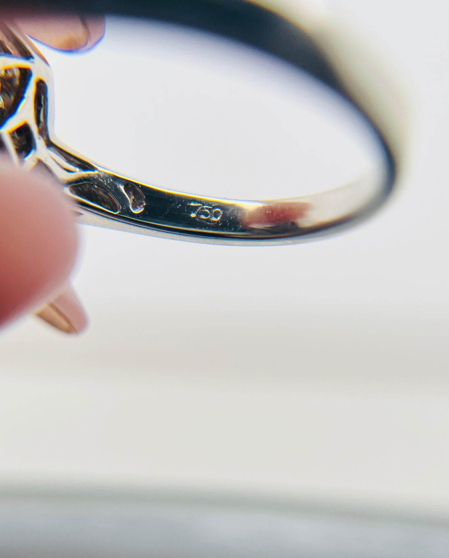 Modern Garnet and Diamond Dinner Ring